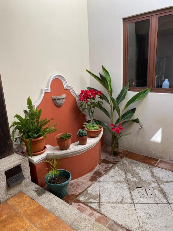 Suite Don Pedro: Hermoso Loft Con Parqueo Gratis! Antigua Dış mekan fotoğraf